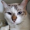 Cocoさんのプロフィール画像