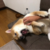 なんどいやさんのプロフィール画像