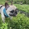 chikaさんのプロフィール画像