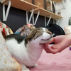 みさんのプロフィール画像