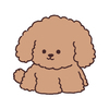 あお✳︎⭐︎さんのプロフィール画像
