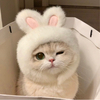 runさんのプロフィール画像