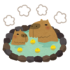 かぴばらさんのプロフィール画像