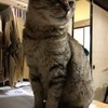 農家69さんのプロフィール画像