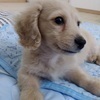 しょうさんのプロフィール画像
