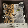 もちもちにゃんこさんのプロフィール画像