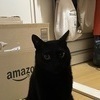 むろかわさんのプロフィール画像