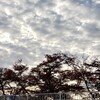 メレトゥさんのプロフィール画像