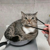 よーすけさんのプロフィール画像