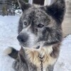 まりなさんのプロフィール画像