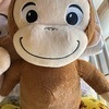 はるはなさんのプロフィール画像