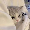 Yさんのプロフィール画像