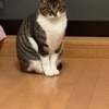 ナカジマさんのプロフィール画像
