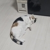 まつさんのプロフィール画像