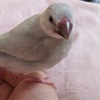 ﾘﾘｺさんのプロフィール画像