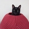 かえでさんのプロフィール画像