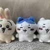 シャラメさんのプロフィール画像