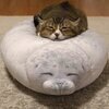 もみじさんのプロフィール画像