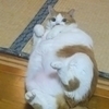 たけさんのプロフィール画像