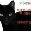 近藤裕美さんのプロフィール画像