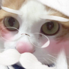 ゆうさんのプロフィール画像