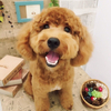 たらこさんのプロフィール画像