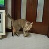 おたまめさんのプロフィール画像