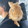 ちーたんさんのプロフィール画像