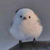 アリスさんのプロフィール画像