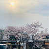 MiyAichanさんのプロフィール画像