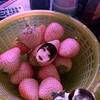 ピクちゃんさんのプロフィール画像