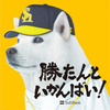 だっちーさんのプロフィール画像