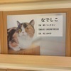 鶏肉ですさんのプロフィール画像