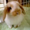 HIROさんのプロフィール画像
