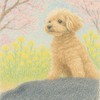 らんあんさんのプロフィール画像