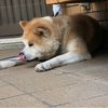 Kさんのプロフィール画像
