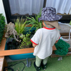 まさあきさんのプロフィール画像
