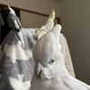 ペットショップ　鳥仁さんのプロフィール画像