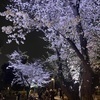 まろんさんのプロフィール画像