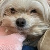 ときさんのプロフィール画像