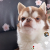 ちゃちゃまるさんのプロフィール画像