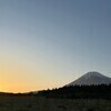 zuezueさんのプロフィール画像
