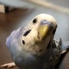 ちぃちゃんさんのプロフィール画像