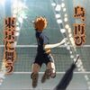シンジさんのプロフィール画像