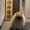 絆造園(株)さんのプロフィール画像