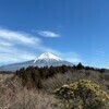 まる子さんのプロフィール画像