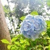 ちきさんのプロフィール画像