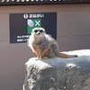 ユウトさんのプロフィール画像