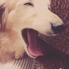 さいたださんのプロフィール画像