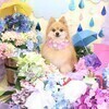 ひさりんさんのプロフィール画像